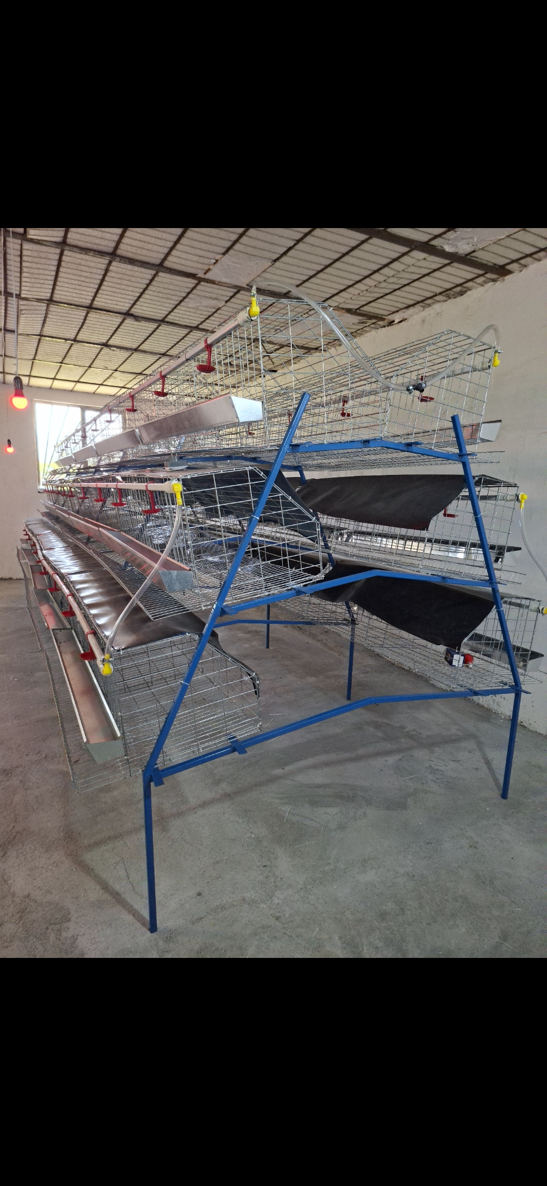 قفس مرغ منبری