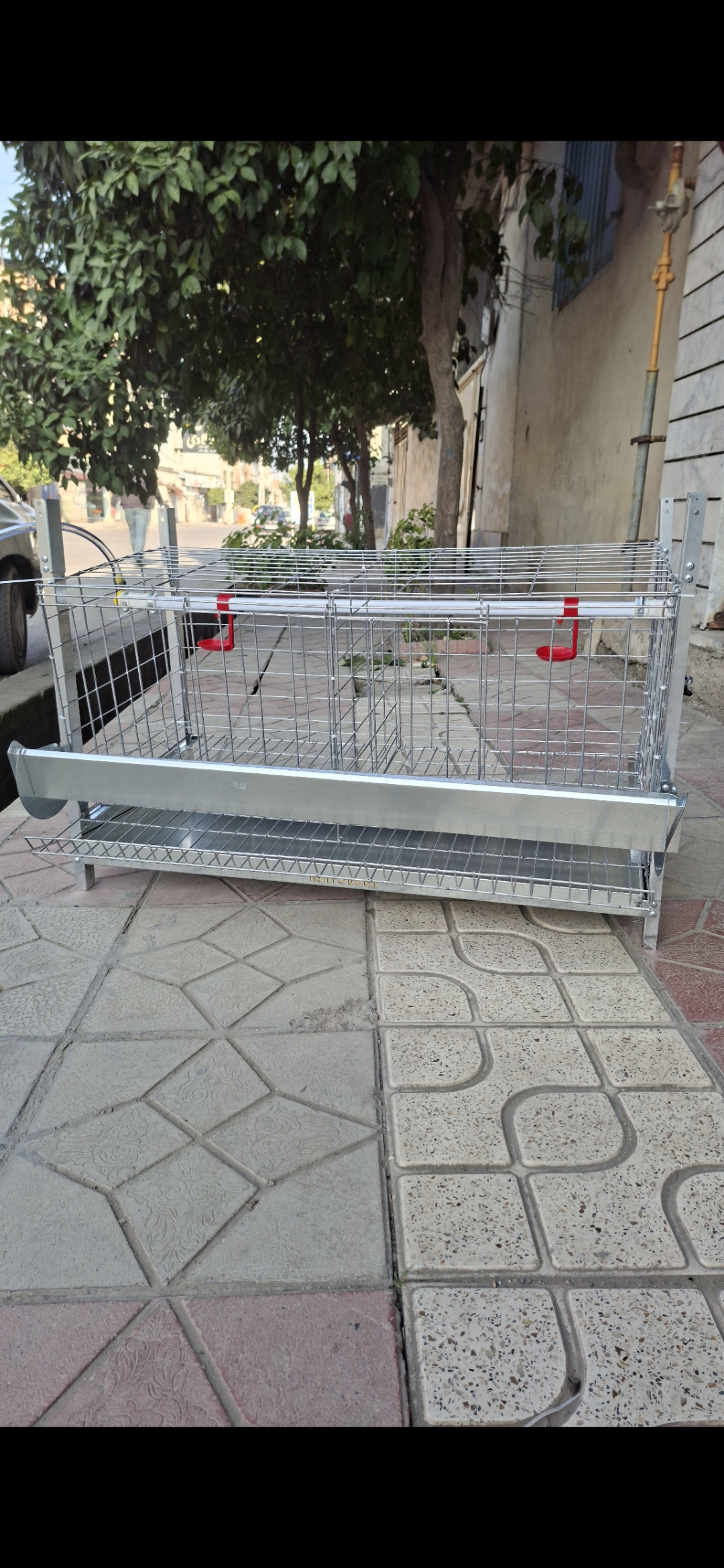 قفس پازلی مرغ تخمگذار