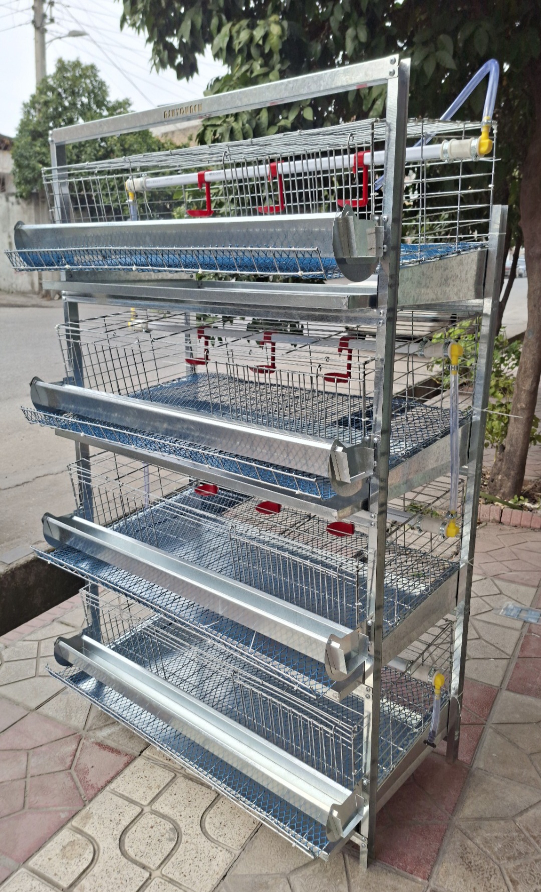 قفس ۴ طبقه بلدرچین تخمگذار