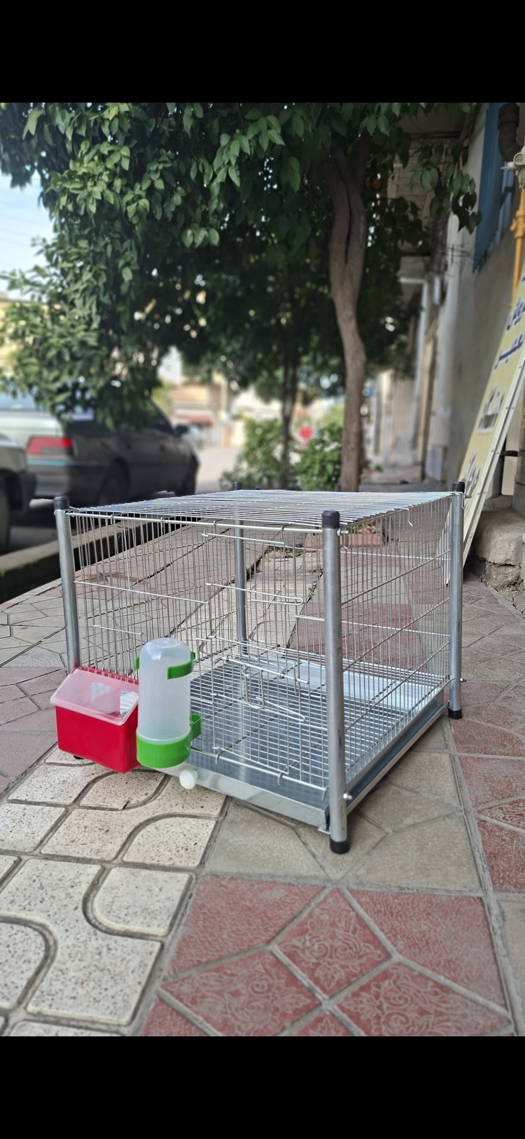 قفس جفت کنی کبوتر