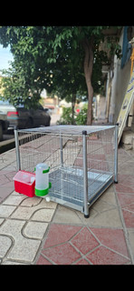 قفس جفت کنی کبوتر